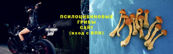 прущий лед Богородск